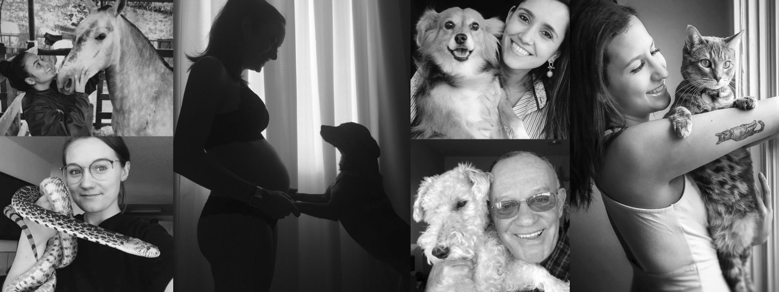 A group of people with their pets and animals