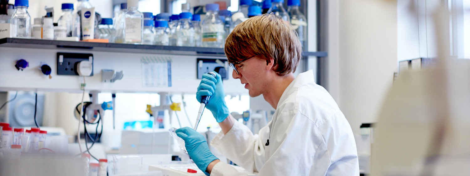 School of Pharmacy