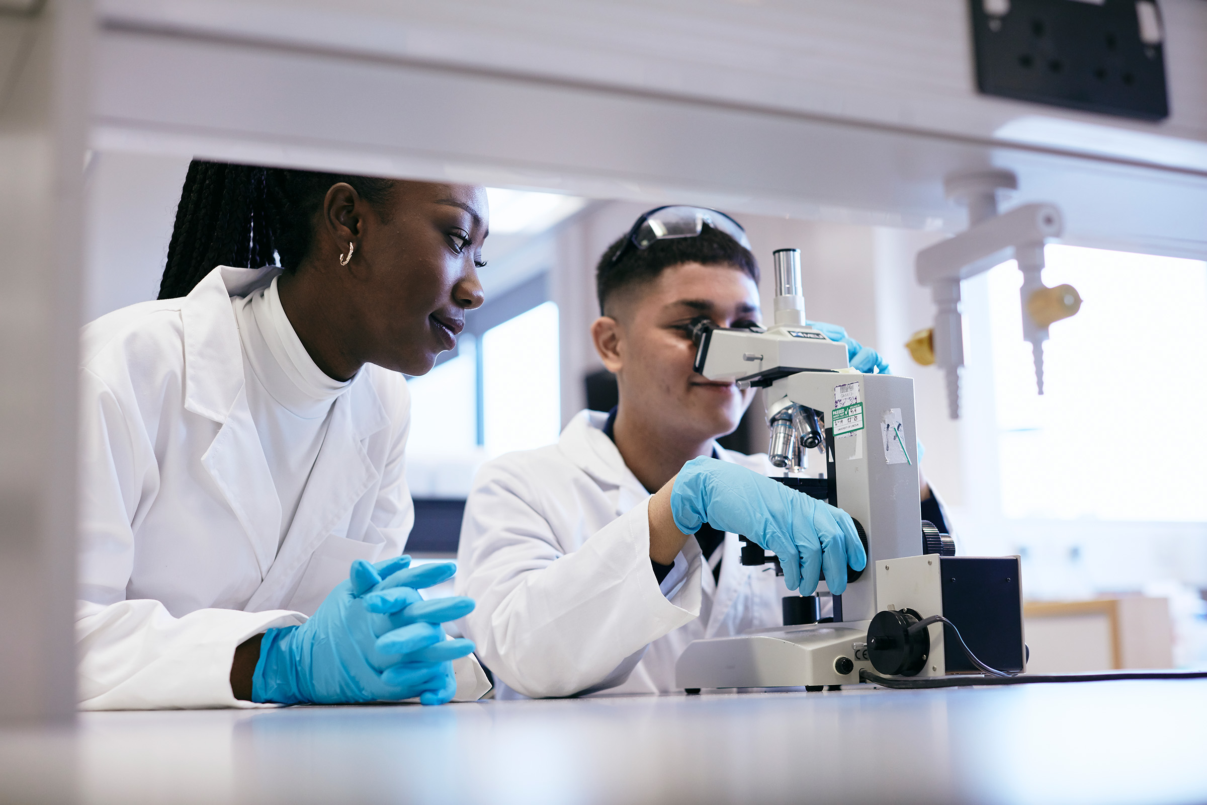 Students working in a lab with a microsope