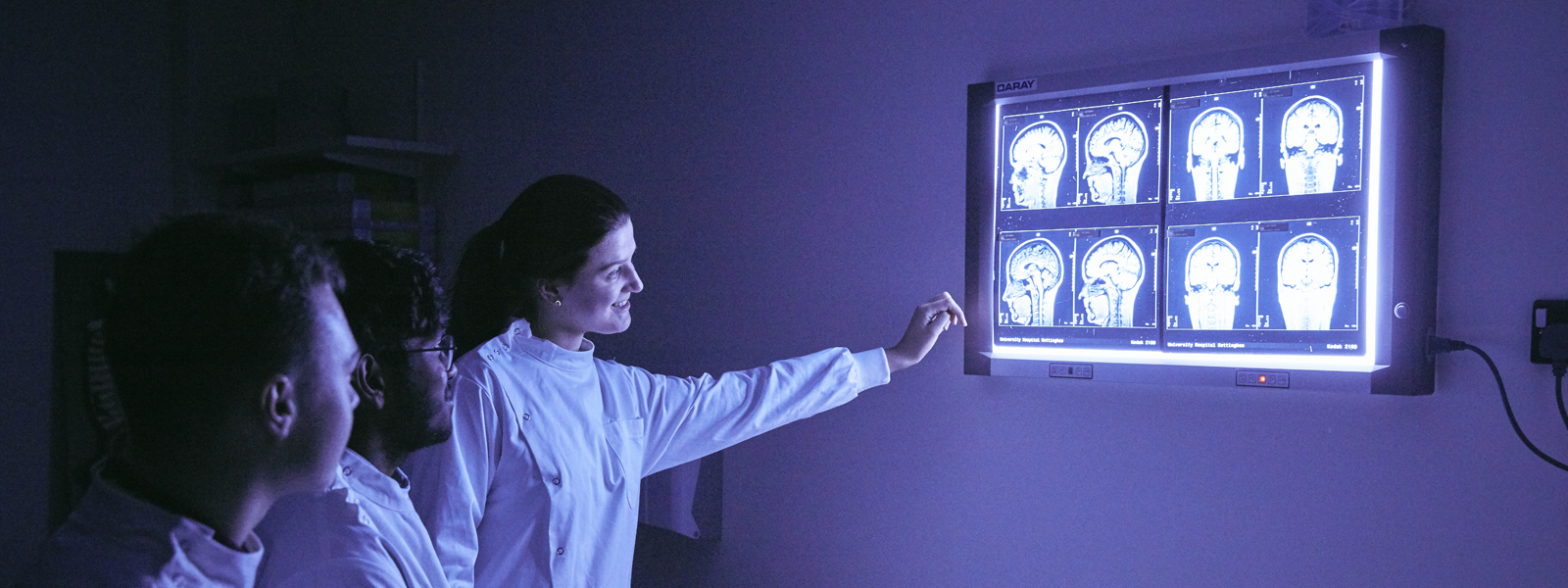 Medicine students examining x-rays