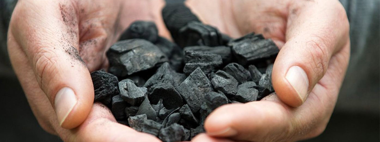 Hands holding pieces of coal